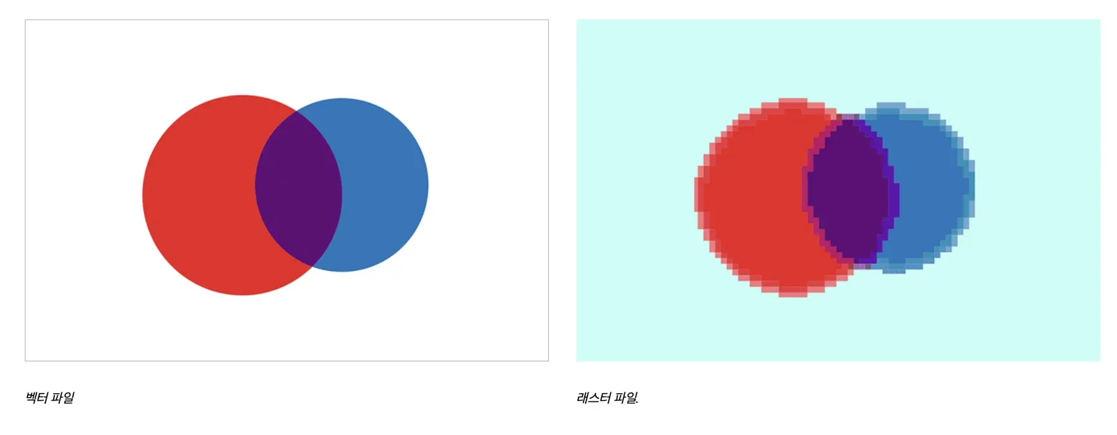 https://www.adobe.com/kr/creativecloud/design/discover/vector-file.html
