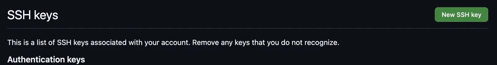 new SSH key 클릭